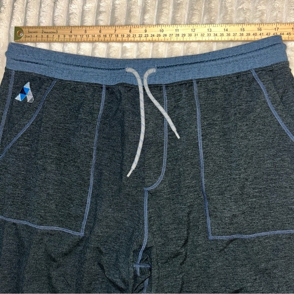 Marine Layer Gray Joggers with Blue Accents - Picture 2 of 6